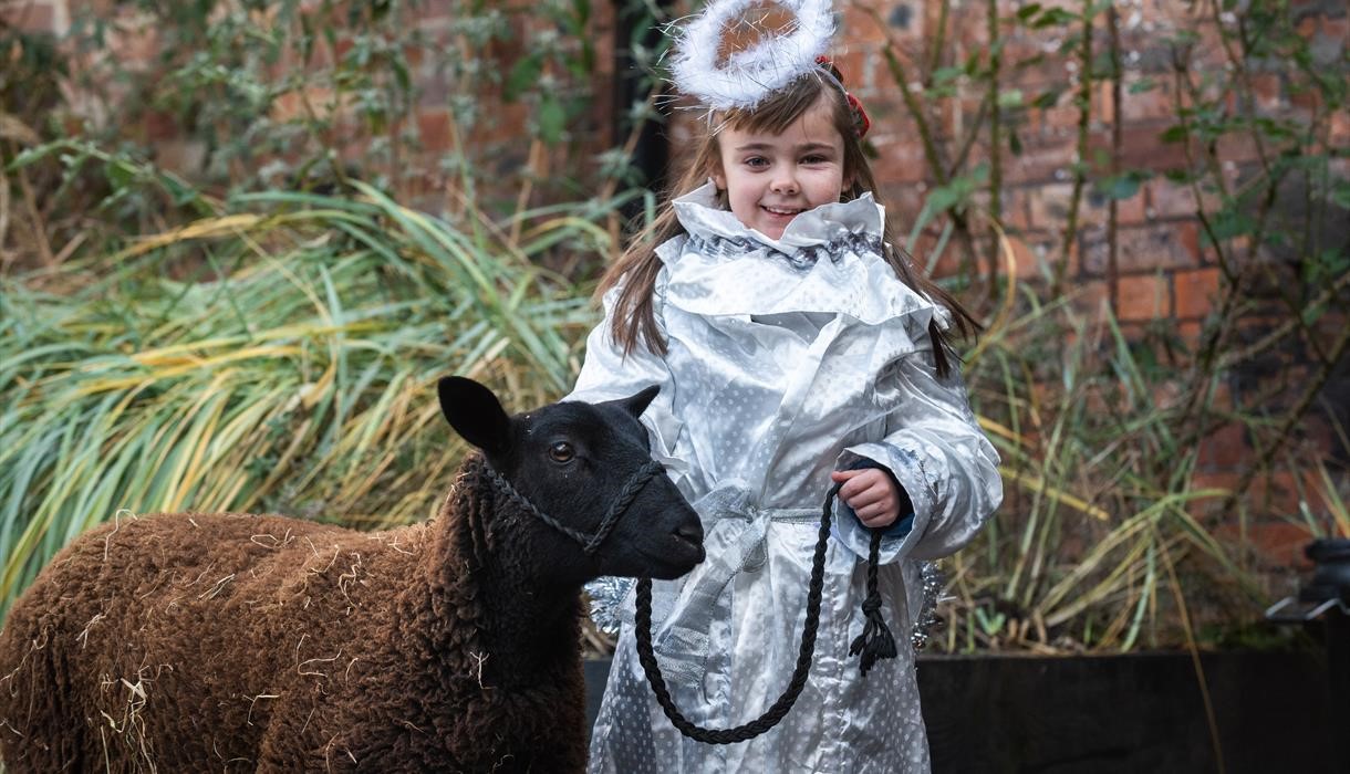 Emma Bridgewater Meet the Nativity Animals